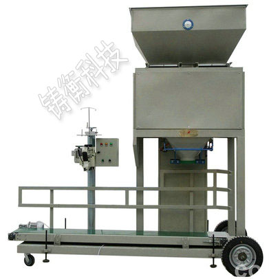 ��Ӷ�����